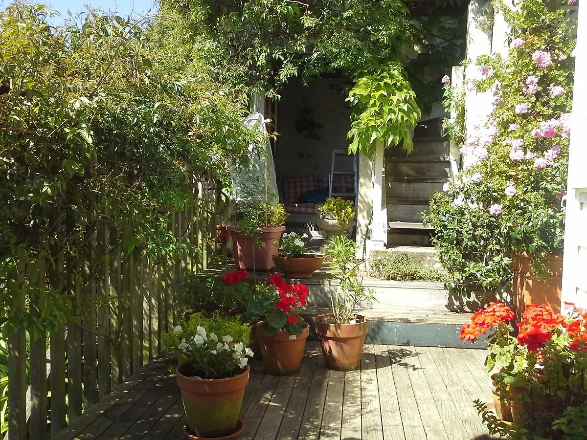 Bed & Breakfast B And B On Hay Street By The Sea Wellington